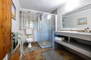 a bathroom with a shower and a toilet and a sink at Dorpsig Cottage in Paarl +21 photos