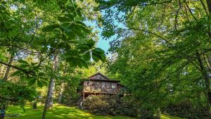 a house in the middle of a forest with trees at Hemlock Hill Cabin in Blowing Rock