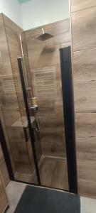 a shower with a glass door in a bathroom at Apartament u Piotrusia i Paulinki in Stronie Śląskie +5 photos