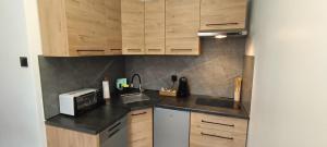 a small kitchen with wooden cabinets and a microwave at Apartament u Piotrusia i Paulinki in Stronie Śląskie