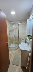 a bathroom with a shower and a sink and a toilet at Apartman Panorama 2 in Požarevac
