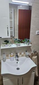 a bathroom with a white sink and a mirror at Apartman Panorama 2 in Požarevac