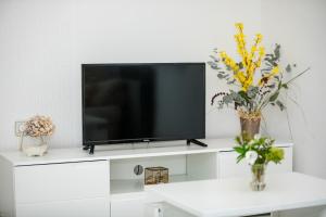 a flat screen tv sitting on top of a white entertainment center at Jednosobni apartman Dionis in Mundanije