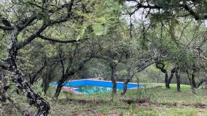 a swimming pool in the middle of a forest of trees at El Campito in Villa Icho Cruz