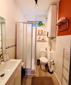 a bathroom with a toilet and a shower at La Scène Audomaroise - Appartement hyper centre in Saint-Omer