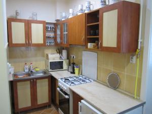 Kuchyňa alebo kuchynka v ubytovaní Dudi Apartman