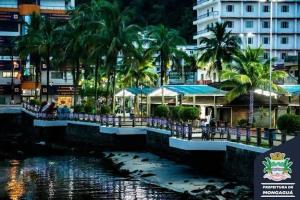 a city with palm trees and a body of water at Kitnet Cantinho 26 in Mongaguá