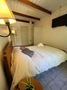 a bedroom with a large white bed with a lamp at Departamento Céntrico 3 in El Bolsón