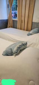 a pillow laying on a bed in a room at Alojamiento nerea in Salto +3 photos