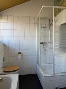 a bathroom with a shower and a toilet and a sink at Helle Dachgeschoßwohnung am Laurentiusplatz in Wuppertal
