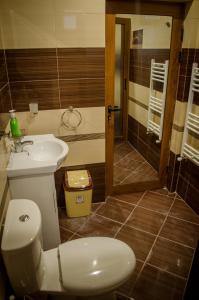 サパレヴァ・バニャにあるSt. Ilia Holiday homeのバスルーム(トイレ、洗面台、シャワー付)
