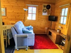 a living room with a blue couch and a red rug at Trevenna Cabin in St Austell