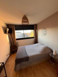 a bedroom with a large bed and a window at Chambre vue parc chez l'habitant in Annecy