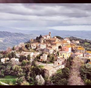 a village on top of a hill with houses at La Petite Maison in Campagnatico