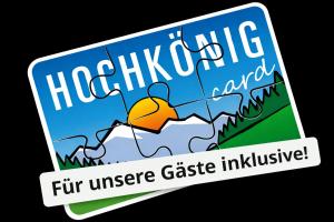 an image of a jigsaw puzzle with the words hoglios fun universe castle at Das Grünholz Aparthotel in Mühlbach am Hochkönig