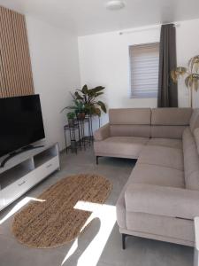 a living room with a couch and a flat screen tv at Au pays des cigognes in Cambron-Casteau