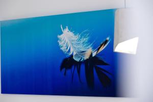 a white bird flying in the blue sky at MNS Accommodations in Salamina