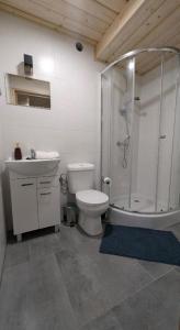 a bathroom with a shower and a toilet and a sink at Domek wypoczynkowy Górskie Zacisze in Sidzina +11 photos