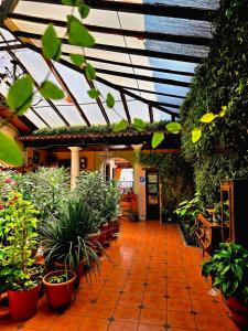 a greenhouse with potted plants and a roof at Hotel San Luis in San Cristóbal de Las Casas