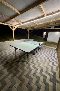 a ping pong table in the middle of a room at Pensiunea Casa Ady in Bran