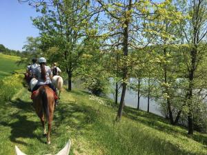 a group of people riding horses on a path near a river at Agriturismo Il Colle del Falco in Borghetto
