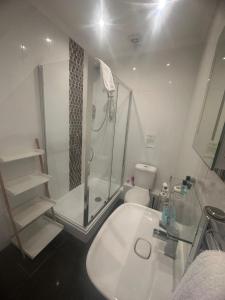 a bathroom with a shower and a sink and a toilet at Manor Inn Galmpton in Brixham +31 photos