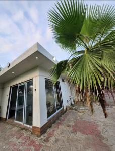 a palm tree in front of a house at The Casa Bella in Faridabad