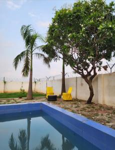 a pool with two palm trees and two yellow chairs at The Casa Bella in Faridabad