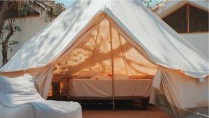a canopy tent with a bed in a room at El Pital, Chocolate Paradise in Balgue
