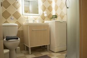 a bathroom with a toilet and a sink and a mirror at Helia Apartment 1 in Alepou