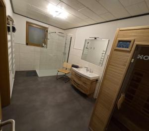 a bathroom with a sink and a shower at FeWo zum Der Hilderser in Hilders