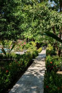 a walkway in a garden with flowers and trees at Sambe Manglar in Moñitos