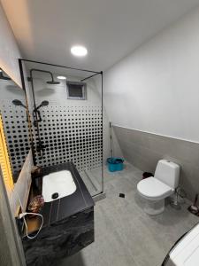 a bathroom with a white toilet and a shower at Take A Brake Kazbegi Cottage in Kazbegi +33 photos