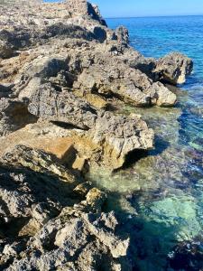 a rocky shore with clear blue water and rocks at CasAmare in Pizzolungo