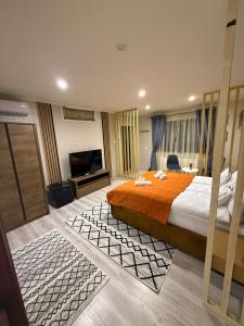 ein Hotelzimmer mit Bett und Flachbildfernseher in der Unterkunft Sofhia home in Târgu Mureș