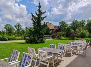 a group of chairs and a table in a yard at Jurjevec Castle in Brežane Lekeničke