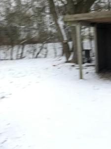 a blurry picture of a house in the snow at Huset i Hammelev in Vojens