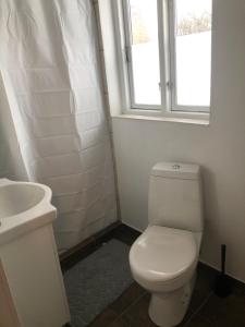 a bathroom with a toilet and a sink and a window at Huset i Hammelev in Vojens