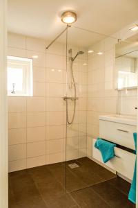 a shower with a glass door in a bathroom at Het kleine Landgoed in Haarle