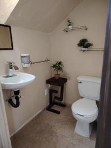 a bathroom with a toilet and a sink at Casa Paraíso in Ixtapa