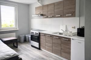 a kitchen with a sink and a stove and cabinets at Apartments in Leuna in Leuna
