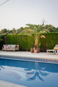 a pool with two lounge chairs and a palm tree at Finca Bona Nit in Jávea