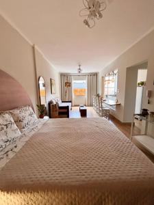 a bedroom with a large bed and a living room at Apto estúdio na praça central in Serra Negra