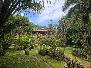 a garden with a house in the background at Conchy Tonk in Bocas Town