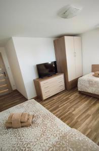 a bedroom with two beds and a flat screen tv at Apartmán Altis in Tatranska Strba +3 photos