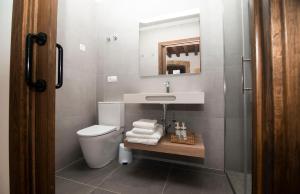 a bathroom with a toilet and a sink and a mirror at Palacio Soran in Leintz-Gatzaga +32 photos