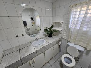 a bathroom with a toilet and a sink and a mirror at Leopards Tree Garden Cottage in Greytown