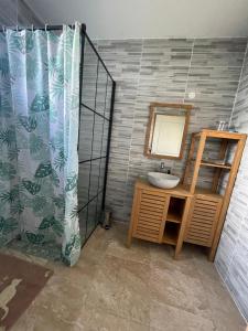a bathroom with a sink and a mirror at Le Chalet des Rêves Ensoleillés in Saint-François