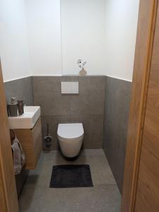 a bathroom with a toilet and a sink at Apartment Auszeit am See in Uttendorf