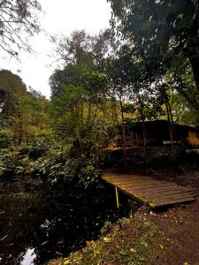 a wooden boardwalk in the middle of a forest at Cabaña kloski in Damita +2 photos